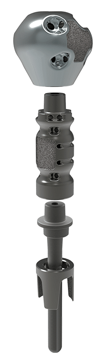 Advita Equinoxe Shoulder Humeral Reconstruction Prosthesis. Platform stem for hemi, aTSA and rTSA applications.