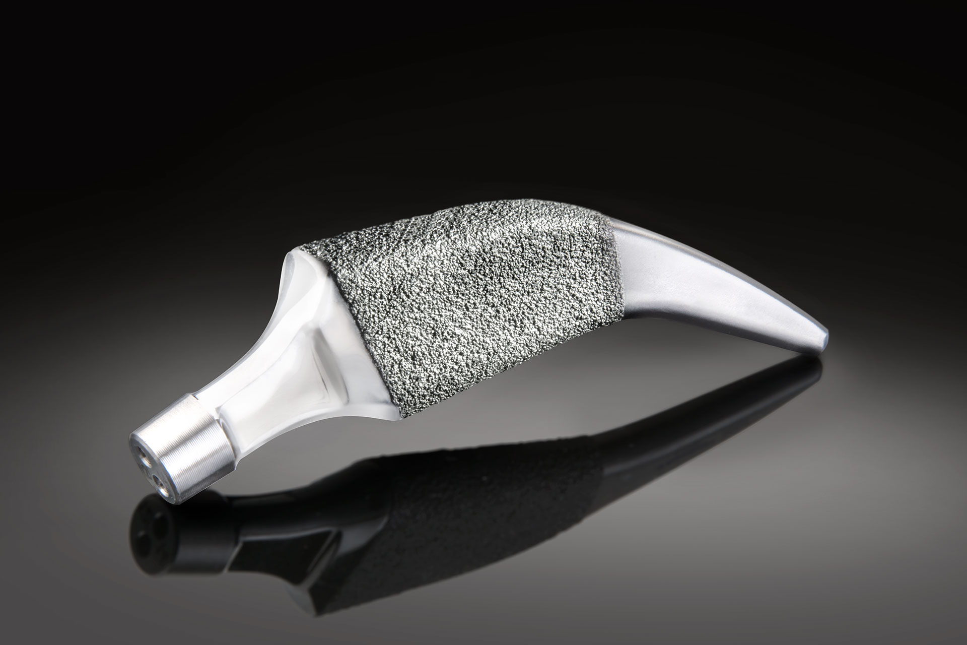 Alteon Neck Preserving Primary Femoral Hip Stem