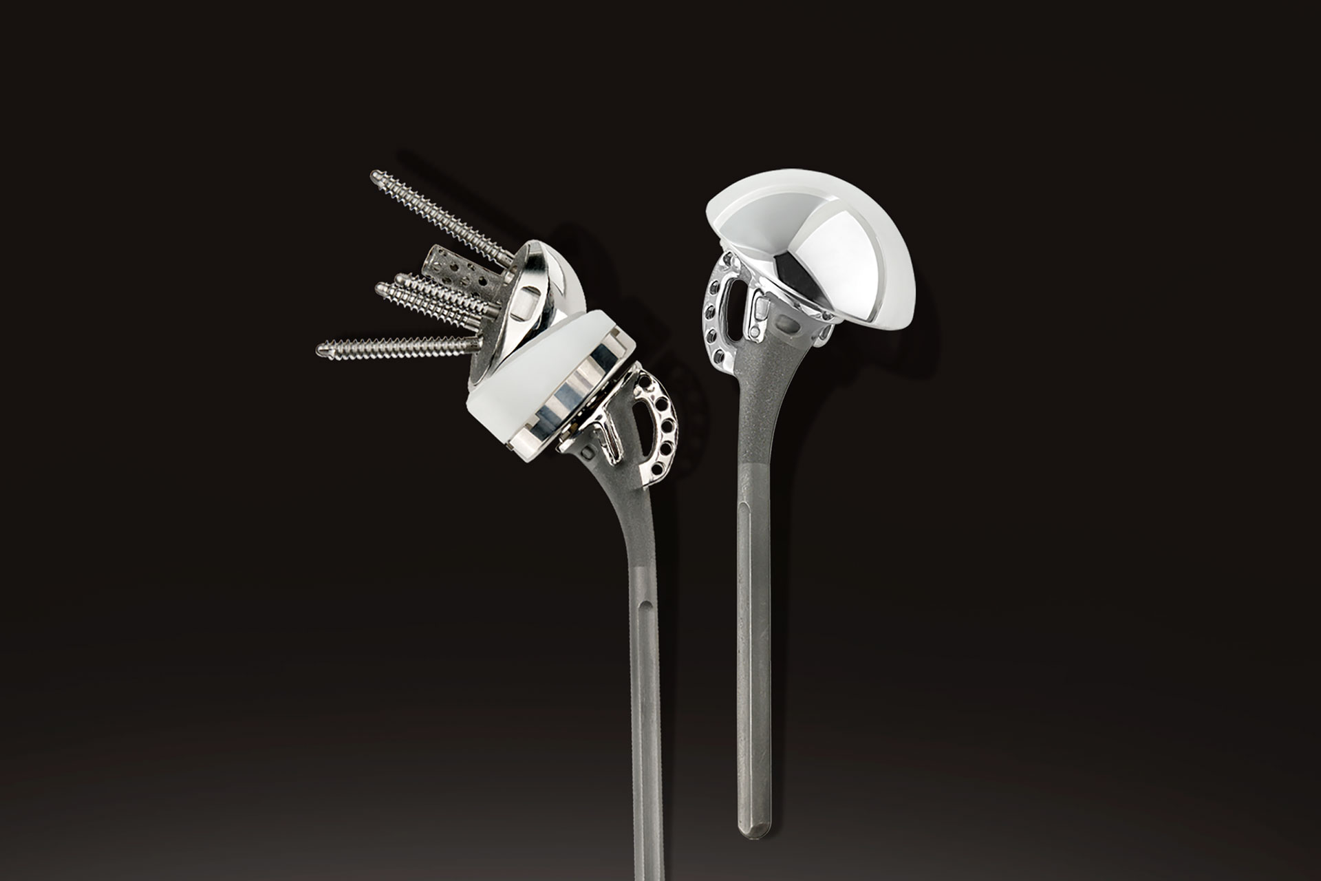 Advita Equinoxe Shoulder Fracture System